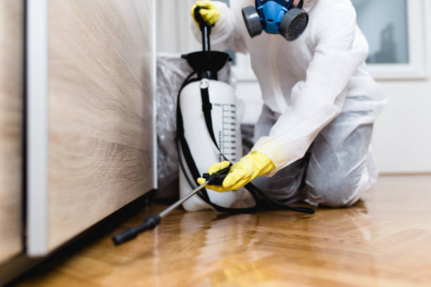 Best Termite Control Services  in Jackson, AL
