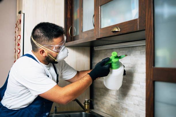 Best Pest Control Cost  in Jackson, AL