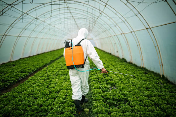 Best Pest Control Treatment  in Jackson, AL