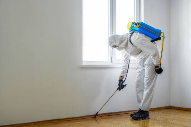 Trusted Jackson, AL Pest Control Experts