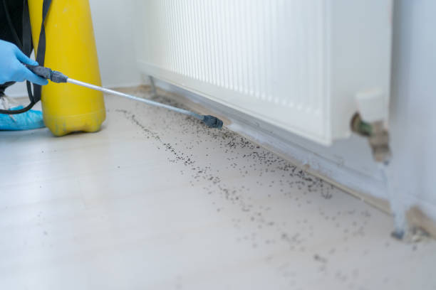 Best Exterminator Services  in Jackson, AL