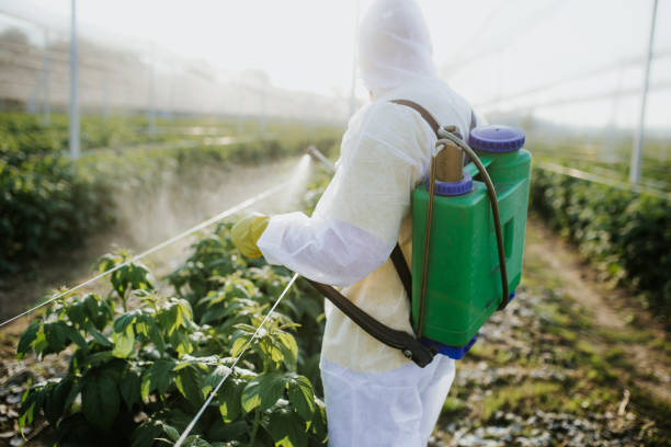 Best Bed Bug Extermination  in Jackson, AL